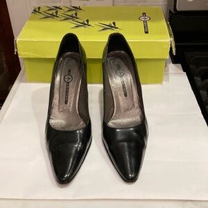 Spectacular mosquitoes, silver heeled pump